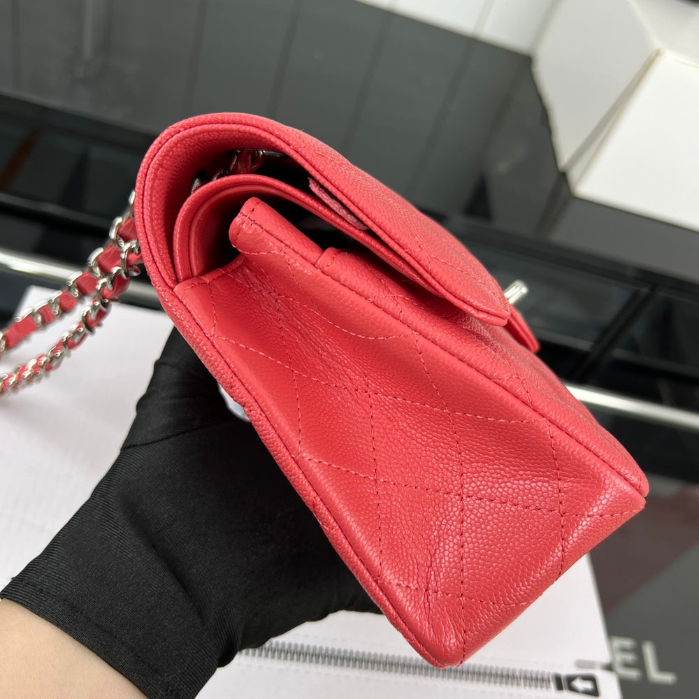 Small Classic Handbag